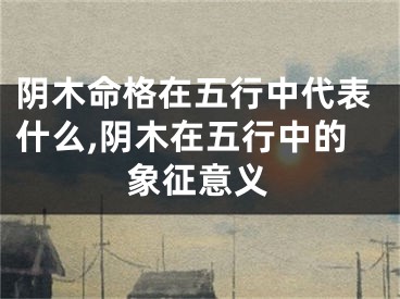 阴木命格在五行中代表什么,阴木在五行中的象征意义