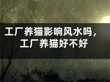 工厂养猫影响风水吗，工厂养猫好不好
