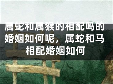 属蛇和属猴的相配吗的婚姻如何呢，属蛇和马相配婚姻如何