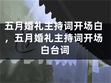 五月婚礼主持词开场白，五月婚礼主持词开场白台词