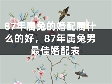 87年属兔的婚配属什么的好，87年属兔男最佳婚配表