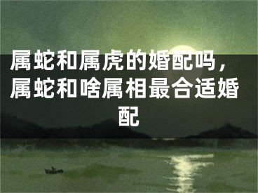属蛇和属虎的婚配吗，属蛇和啥属相最合适婚配