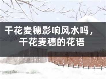 干花麦穗影响风水吗，干花麦穗的花语