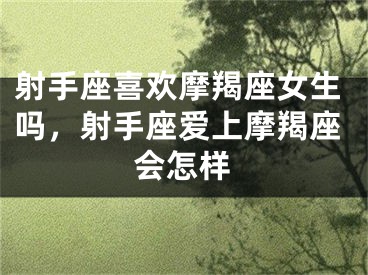 射手座喜欢摩羯座女生吗,射手座爱上摩羯座会怎样