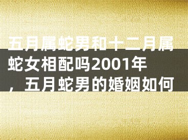 五月属蛇男和十二月属蛇女相配吗2001年，五月蛇男的婚姻如何