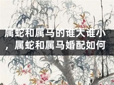 属蛇和属马的谁大谁小,属蛇和属马婚配如何