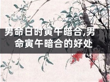 男命日时寅午暗合,男命寅午暗合的好处