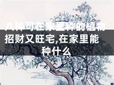 八种可在家里种的植物招财又旺宅,在家里能种什么