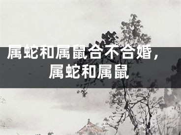 属蛇和属鼠合不合婚，属蛇和属鼠