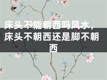 床头不能朝西吗风水，床头不朝西还是脚不朝西