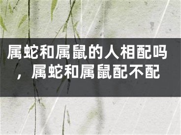 属蛇和属鼠的人相配吗，属蛇和属鼠配不配