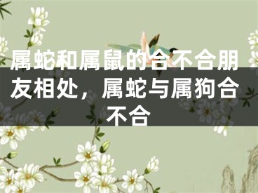 属蛇和属鼠的合不合朋友相处，属蛇与属狗合不合