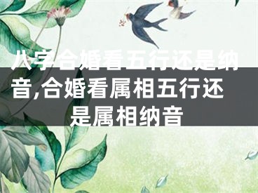 八字合婚看五行还是纳音,合婚看属相五行还是属相纳音