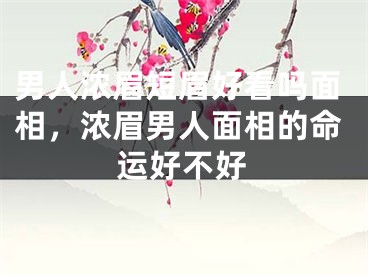 男人浓眉短眉好看吗面相，浓眉男人面相的命运好不好