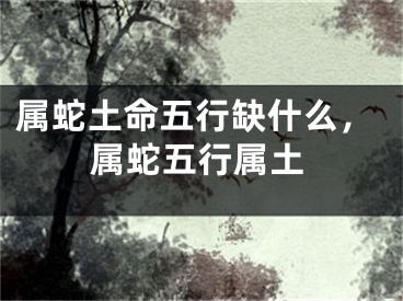 属蛇土命五行缺什么，属蛇五行属土