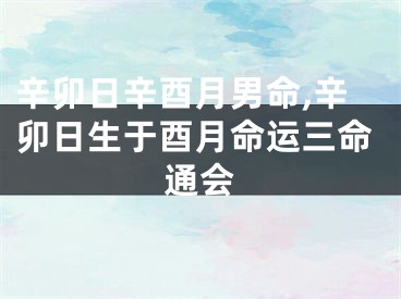 辛卯日辛酉月男命,辛卯日生于酉月命运三命通会