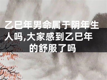 乙巳年男命属于阴年生人吗,大家感到乙巳年的舒服了吗