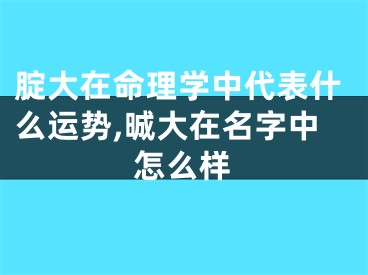 腚大在命理学中代表什么运势,晠大在名字中怎么样
