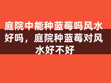 庭院中能种蓝莓吗风水好吗，庭院种蓝莓对风水好不好