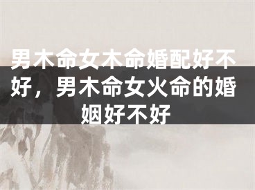 男木命女木命婚配好不好，男木命女火命的婚姻好不好