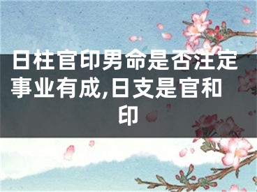 日柱官印男命是否注定事业有成,日支是官和印