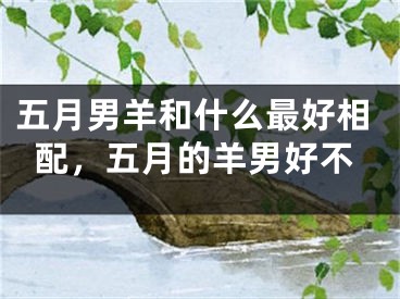 五月男羊和什么最好相配，五月的羊男好不