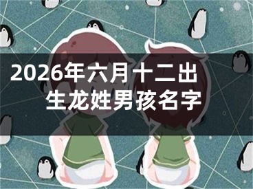 2026年六月十二出生龙姓男孩名字