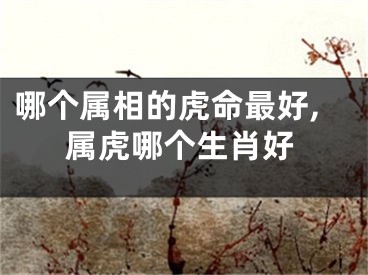 哪个属相的虎命最好,属虎哪个生肖好
