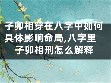 子卯相穿在八字中如何具体影响命局,八字里子卯相刑怎么解释