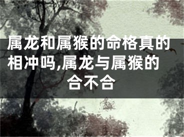 属龙和属猴的命格真的相冲吗,属龙与属猴的合不合
