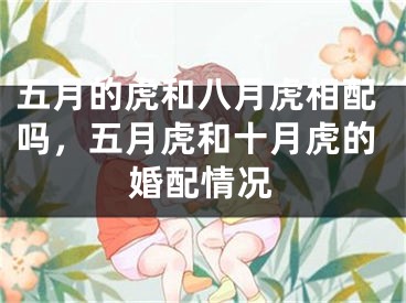 五月的虎和八月虎相配吗，五月虎和十月虎的婚配情况