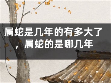 属蛇是几年的有多大了，属蛇的是哪几年