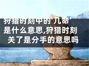 狩猎时刻中的‘几命’是什么意思,狩猎时刻关了是分手的意思吗