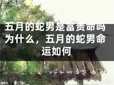 五月的蛇男是富贵命吗为什么,五月的蛇男命运如何