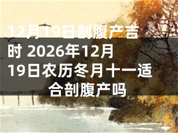 12月19日剖腹产吉时 2026年12月19日农历冬月十一适合剖腹产吗