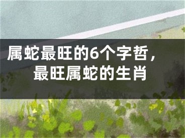 属蛇最旺的6个字哲，最旺属蛇的生肖