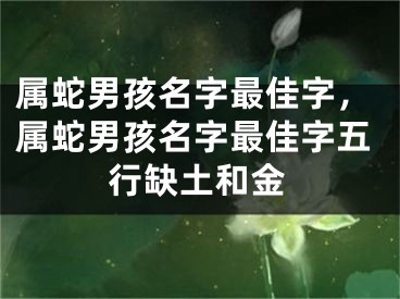 属蛇男孩名字最佳字，属蛇男孩名字最佳字五行缺土和金