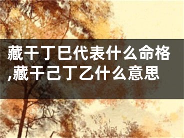 藏干丁巳代表什么命格,藏干己丁乙什么意思