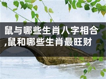 鼠与哪些生肖八字相合,鼠和哪些生肖最旺财