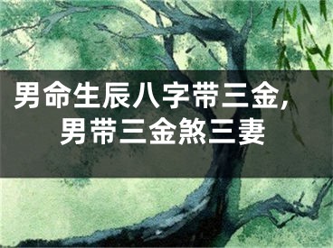 男命生辰八字带三金,男带三金煞三妻