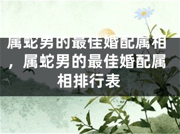 属蛇男的最佳婚配属相，属蛇男的最佳婚配属相排行表