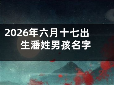 2026年六月十七出生潘姓男孩名字