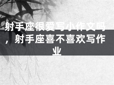 射手座很爱写小作文吗,射手座喜不喜欢写作业