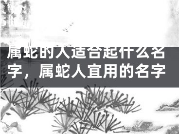 属蛇的人适合起什么名字,属蛇人宜用的名字