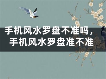 手机风水罗盘不准吗，手机风水罗盘准不准