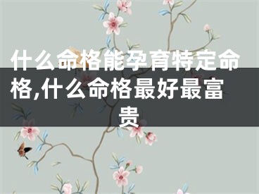 什么命格能孕育特定命格,什么命格最好最富贵