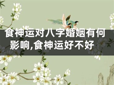 食神运对八字婚姻有何影响,食神运好不好