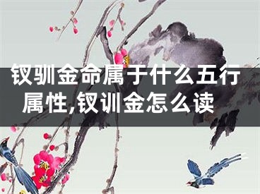 钗驯金命属于什么五行属性,钗训金怎么读