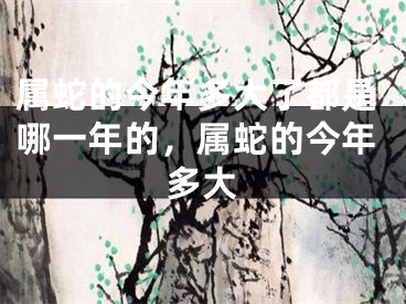 属蛇的今年多大了都是哪一年的，属蛇的今年多大