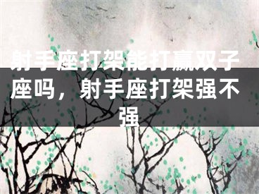 射手座打架能打赢双子座吗，射手座打架强不强
